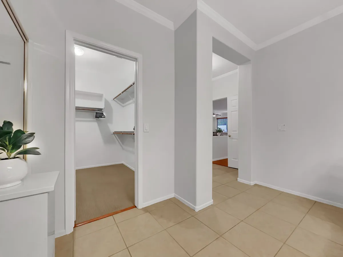This image presents an open entryway with a view toward the kitchen, featuring a plant placed by the door and an uncluttered, organized space. There's a sense of movement and transition, suggesting easy access both into and out of the home—ideal for pet owners coming and going with their dog.